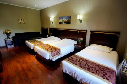 Drago D'Oro Guesthouse - image 10