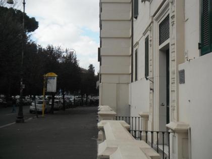 Domi Aloisii - image 27