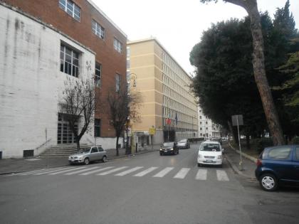 Domi Aloisii - image 29
