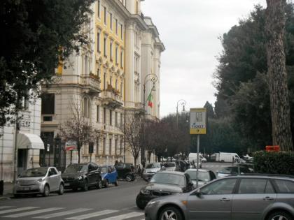 Domi Aloisii - image 30