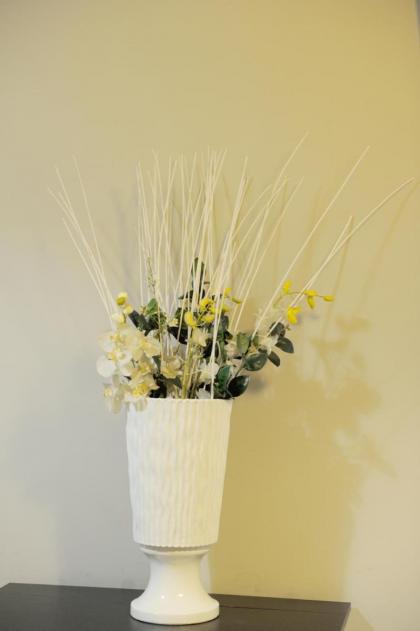 Alexia Home - image 28