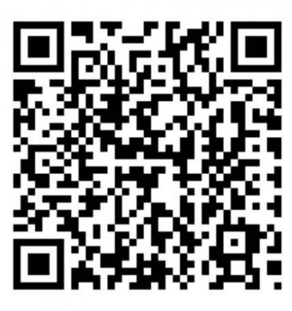 Domus Regina Colosseo - image 2