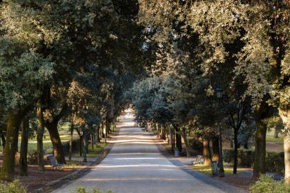 Sonder Barberini - image 23