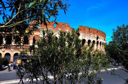 Circus Maximus Home - image 29