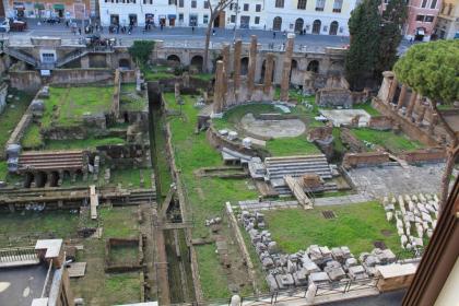 Superior Relais - image 16