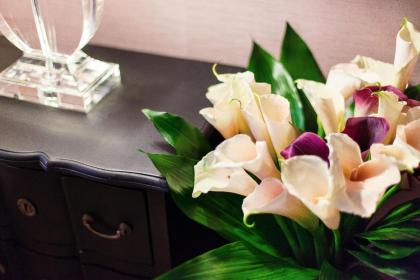 The Brunetti - Luxury serviced apartment - image 28