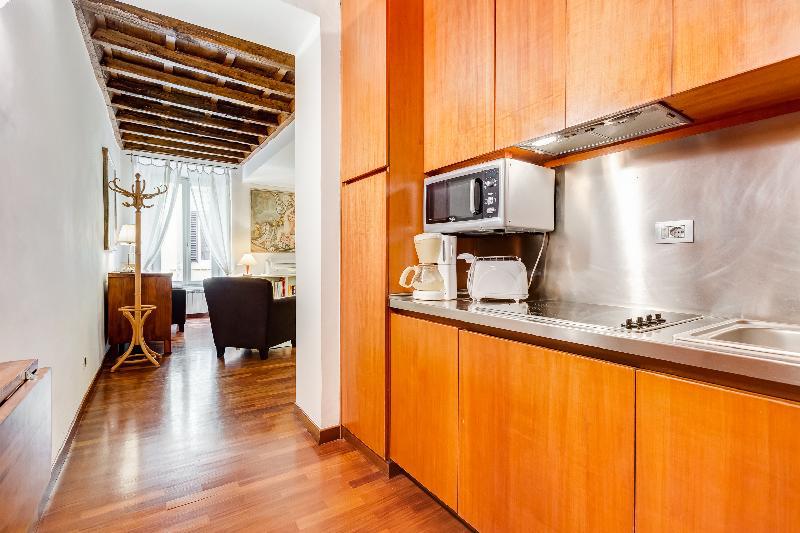 Updated Historical Apartment near Spanish Steps - image 3