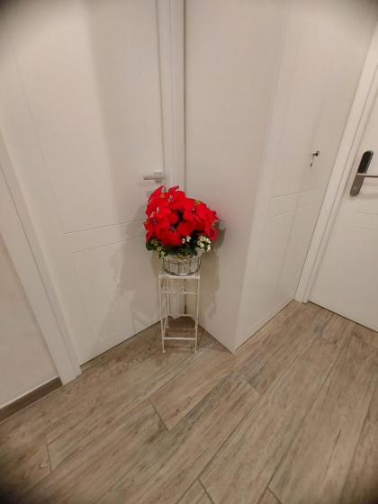 Domus Cinecittà - image 26