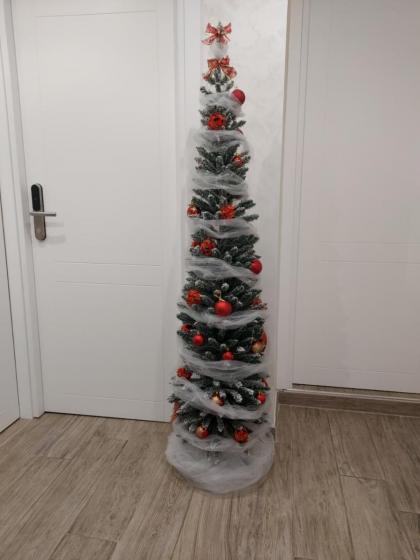 Domus Cinecittà - image 28