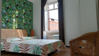Colosseo Kokedama rooms