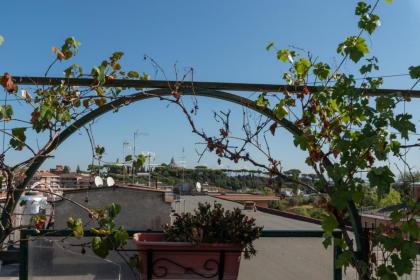Roof Terrace Gleizer Saint Peter's - image 29