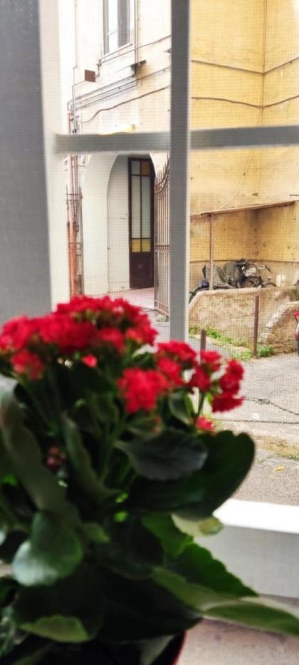 EMA MINI in Trastevere - image 21