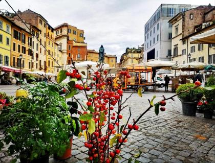 House 58 - Campo dé Fiori - image 25