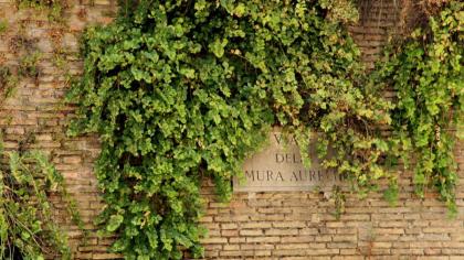 Vista San Pietro - image 30