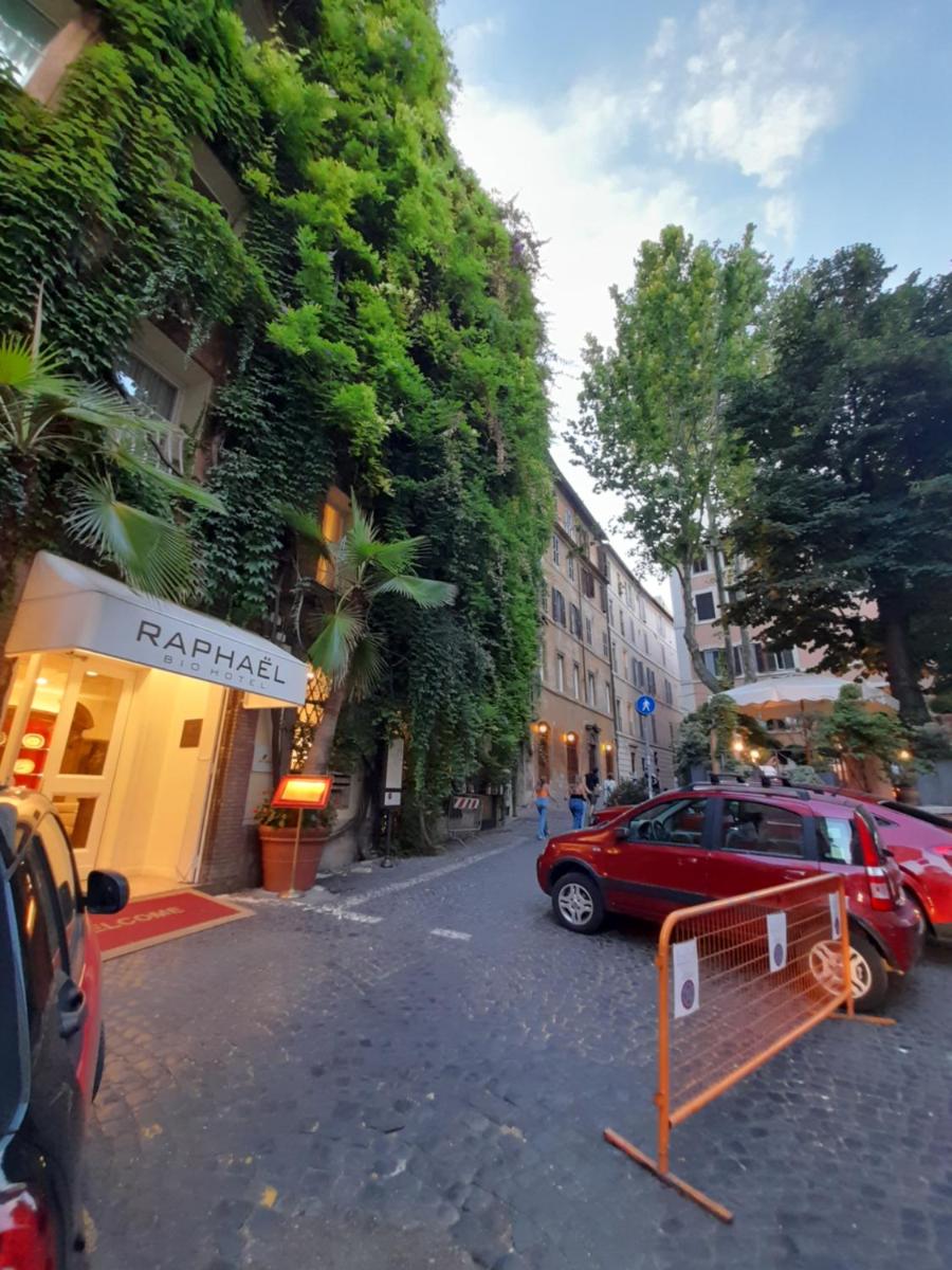 Navona Artist 7 APT - image 2