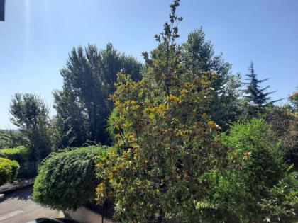 La casa di Livia - image 26