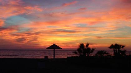 Lory flat near Ostia skatepark Fiumicino airport - image 21