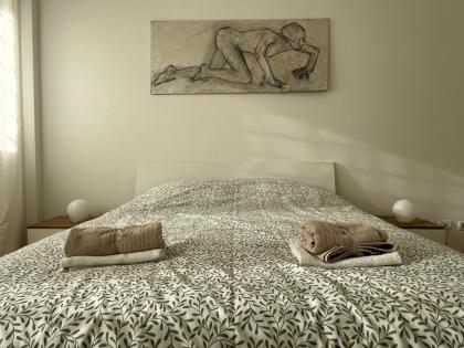 Acquedotti apartment with garden - image 21